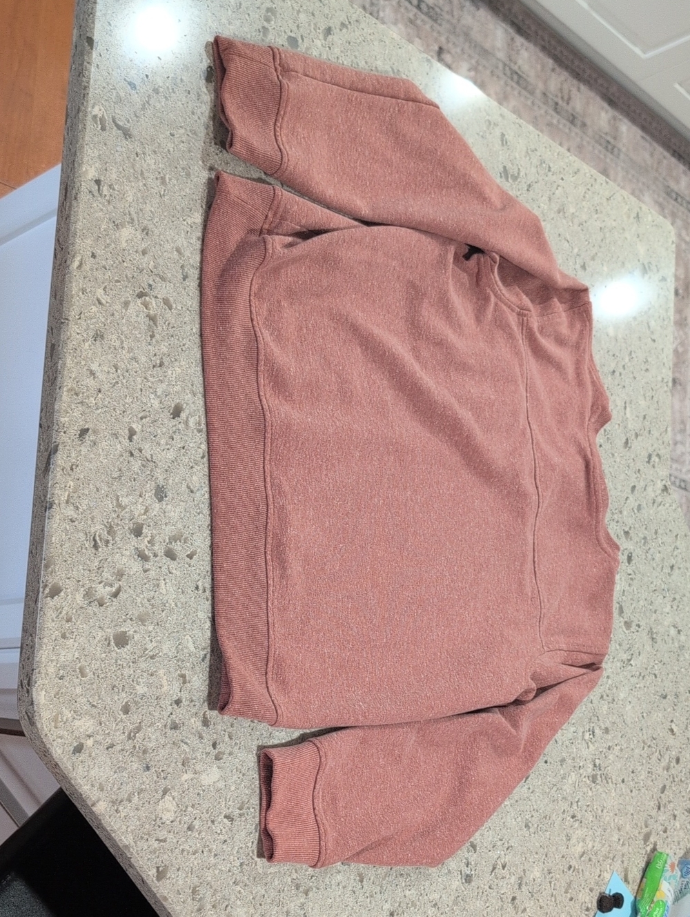 Patagonia Henley Sweatshirt Pullover in Dusty Rose - Picture 7 of 7